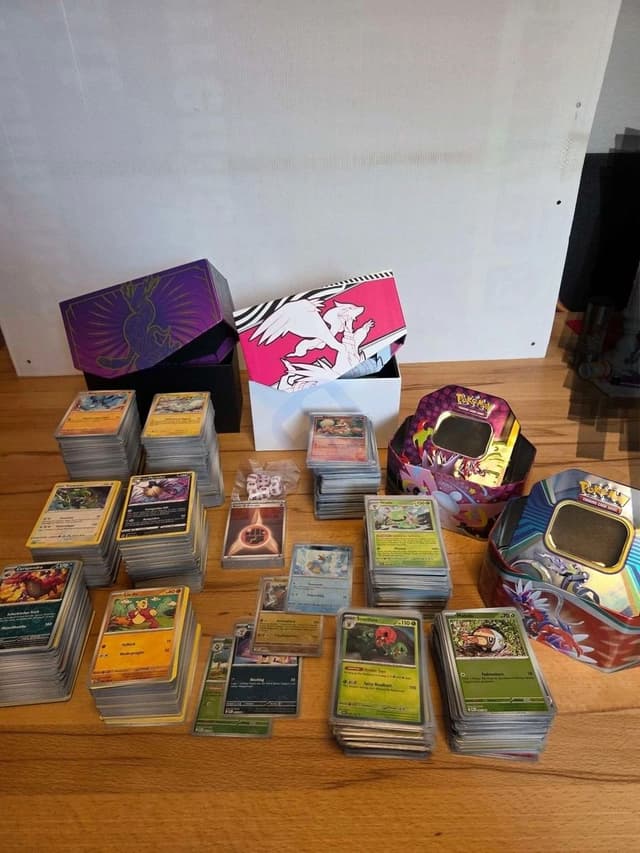 pokemon kartensammlumg