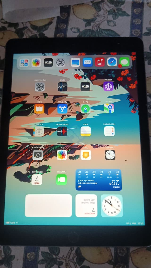 i pad air2