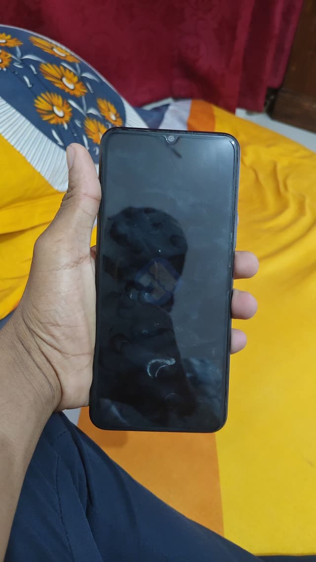 vivo