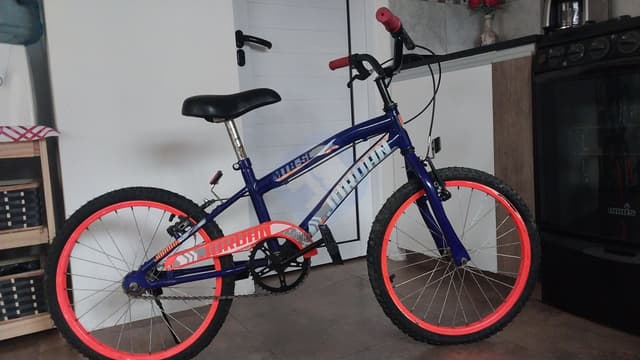 Bicicleta R.20
