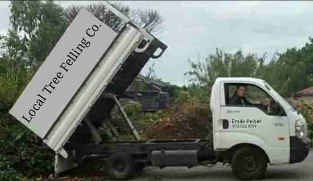 Tree felling