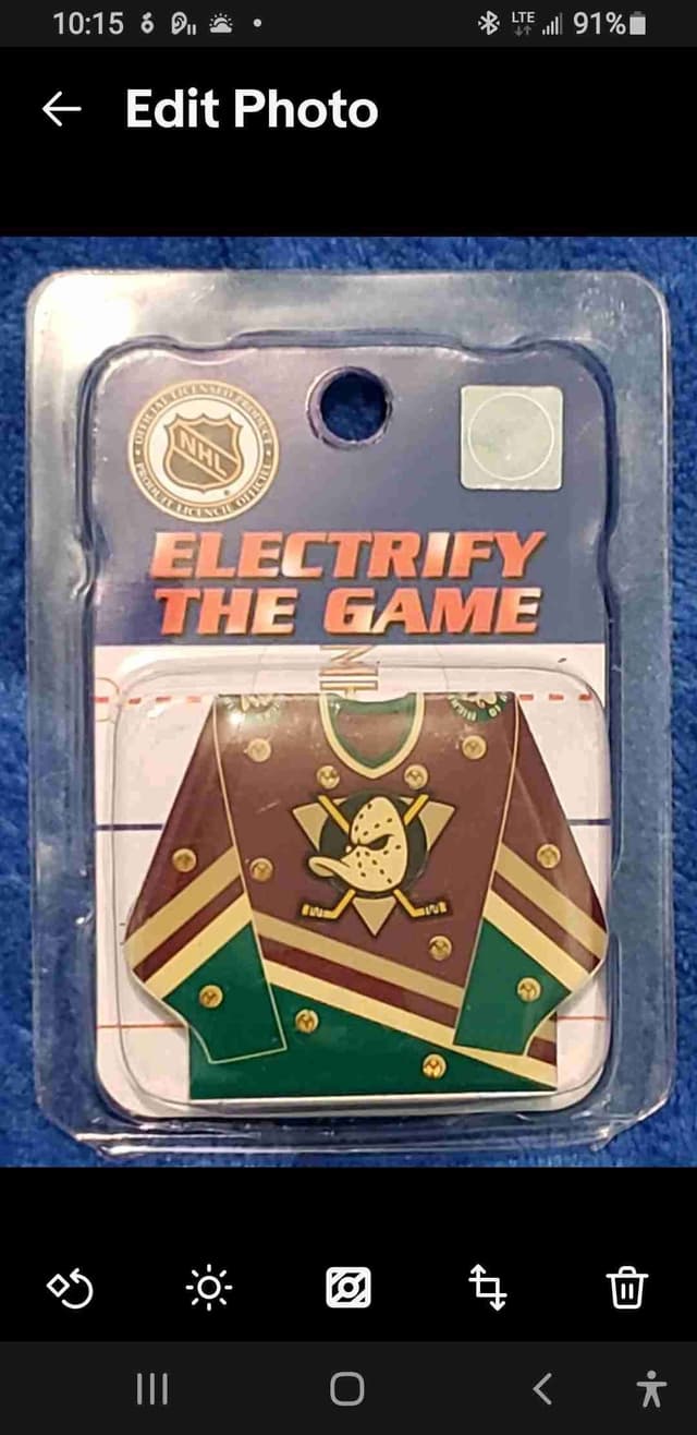 Anaheim Ducks NHL magnet s for $20