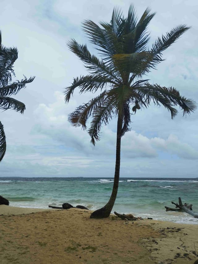 Tour a las Islas de San Blas todo incluído