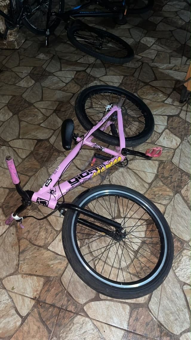GIOS BR ROSA